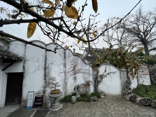 怡园旅行图片 3