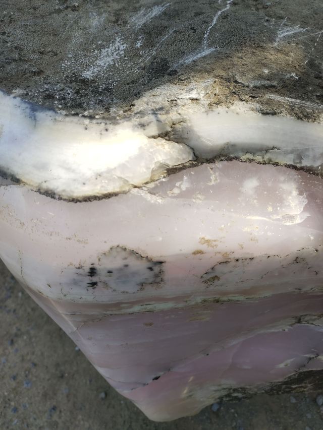 勐巴娜西珍奇园旅行图片 6
