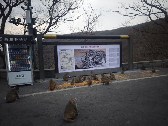 花果山风景区旅行图片 2