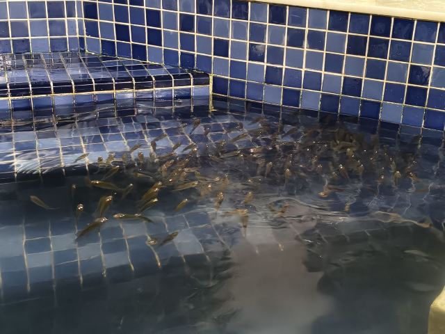 鹿鸣谷景区旅行图片 1