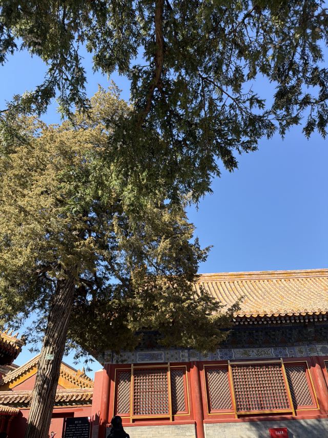 故宫博物院旅行图片