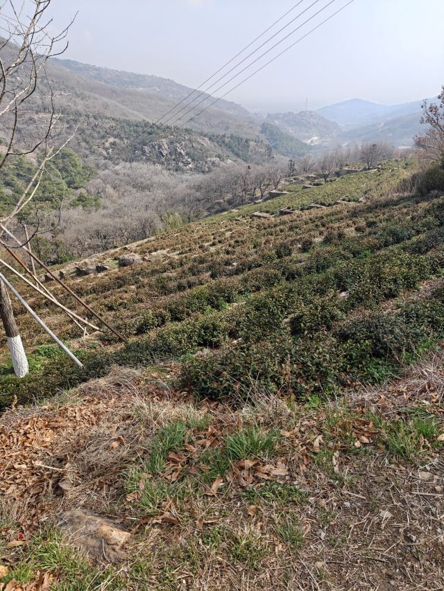 花果山风景区旅行图片 4