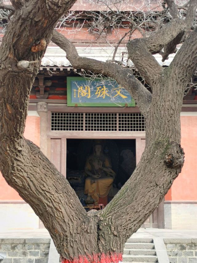 善化寺-特色纪念品商店旅行图片 2