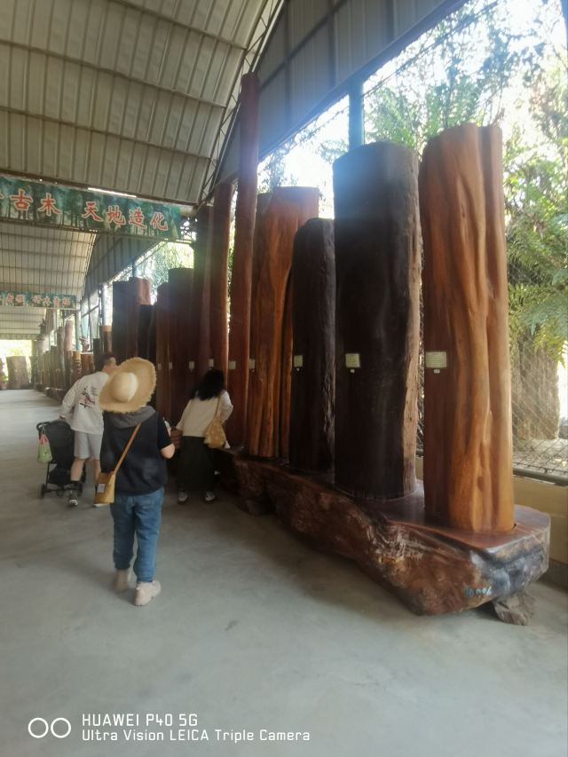 勐巴娜西珍奇园旅行图片 9