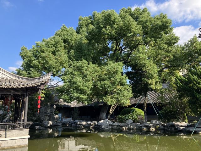 口岸雕花楼景区旅行图片 6