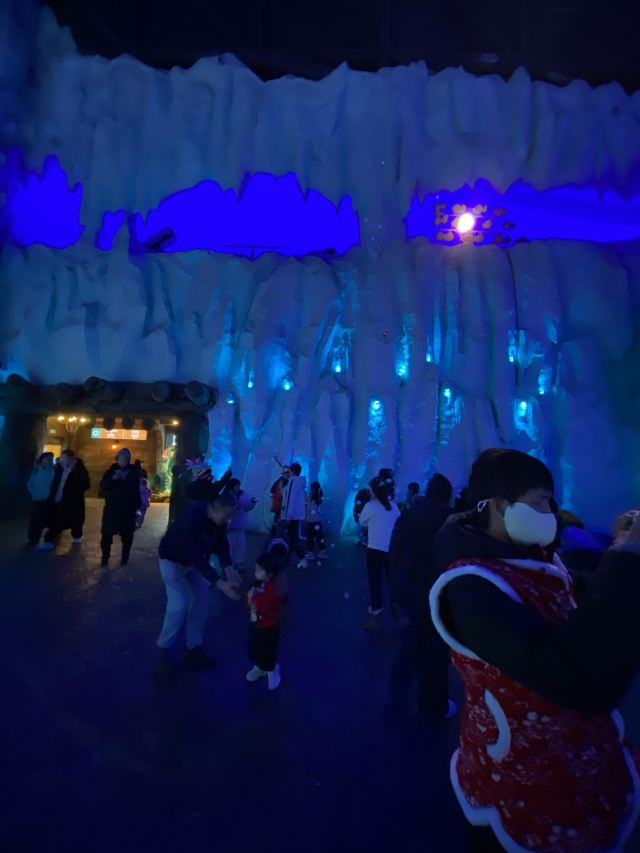 哈尔滨极地公园旅行图片 7