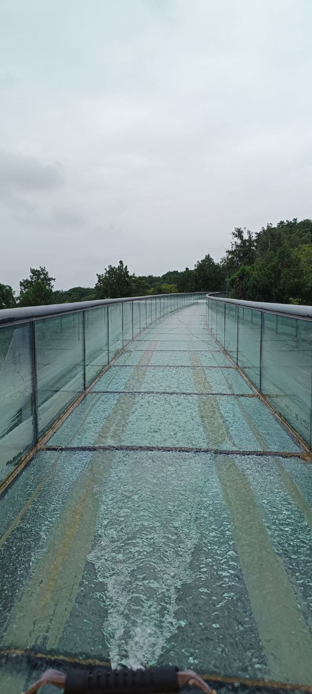琅琊山森林漂流(暂停开放)旅行图片 3