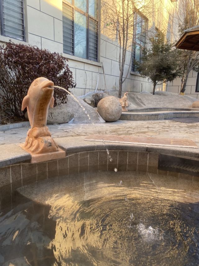 水师森林公园旅行图片 4