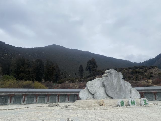 世界柏树王园林风景区旅行图片 7