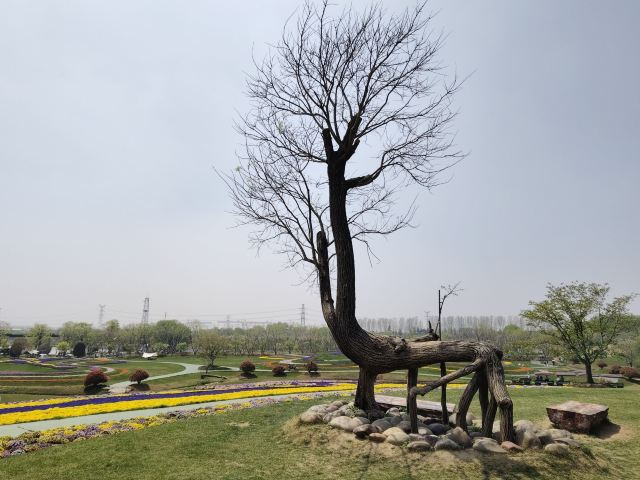 南通洲际梦幻岛旅行图片 1