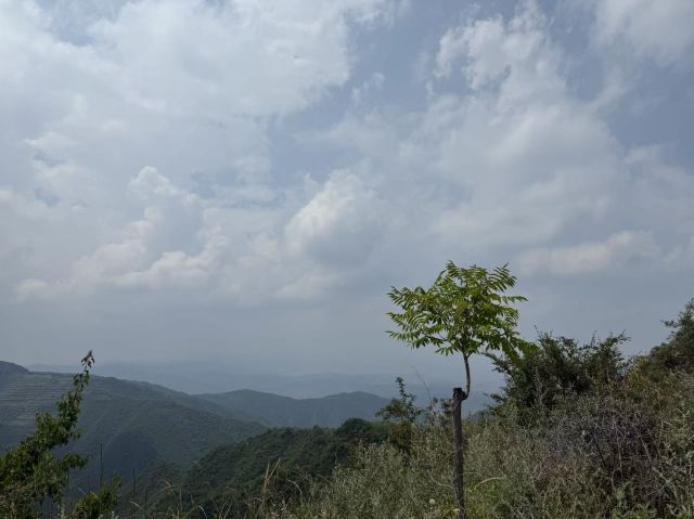 兰州石佛沟国家森林公园旅行图片 1