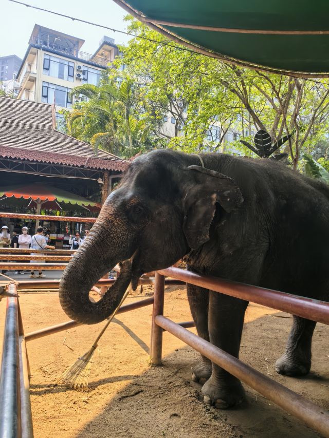 曼听御花园景区旅行图片 5