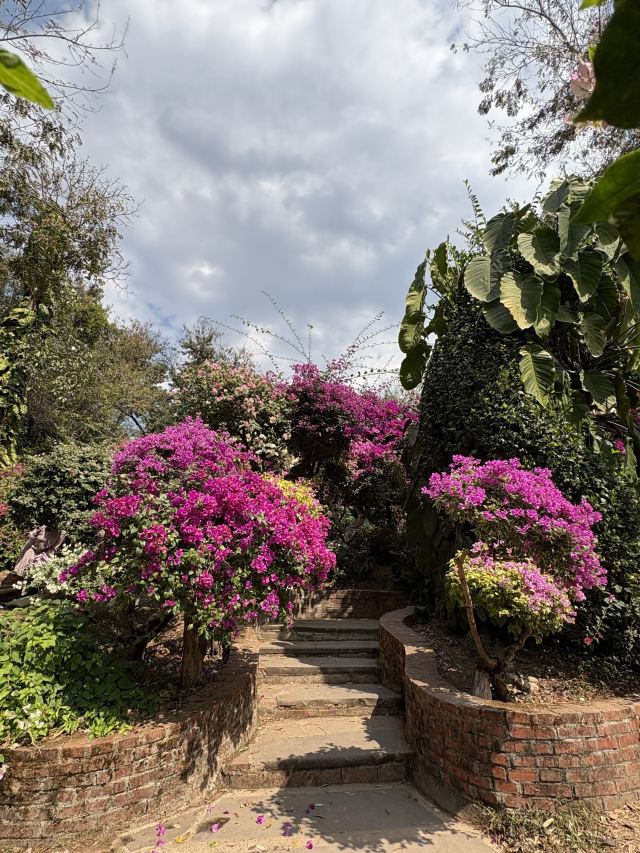 曼听御花园景区旅行图片 1