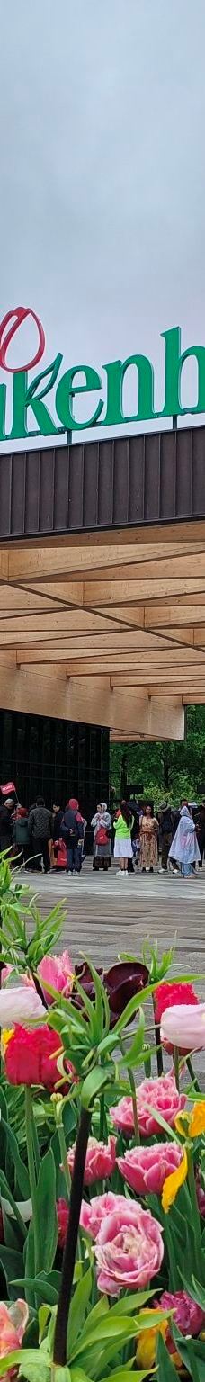 库肯霍夫公园-利瑟-YoYo_1I7K6P2W