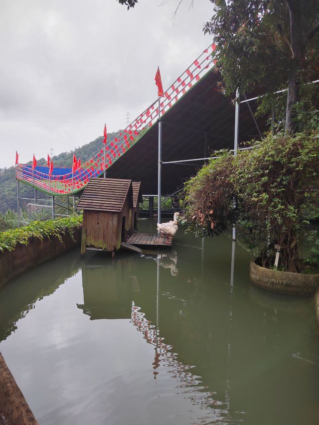 吹台山森林公园旅行图片 3