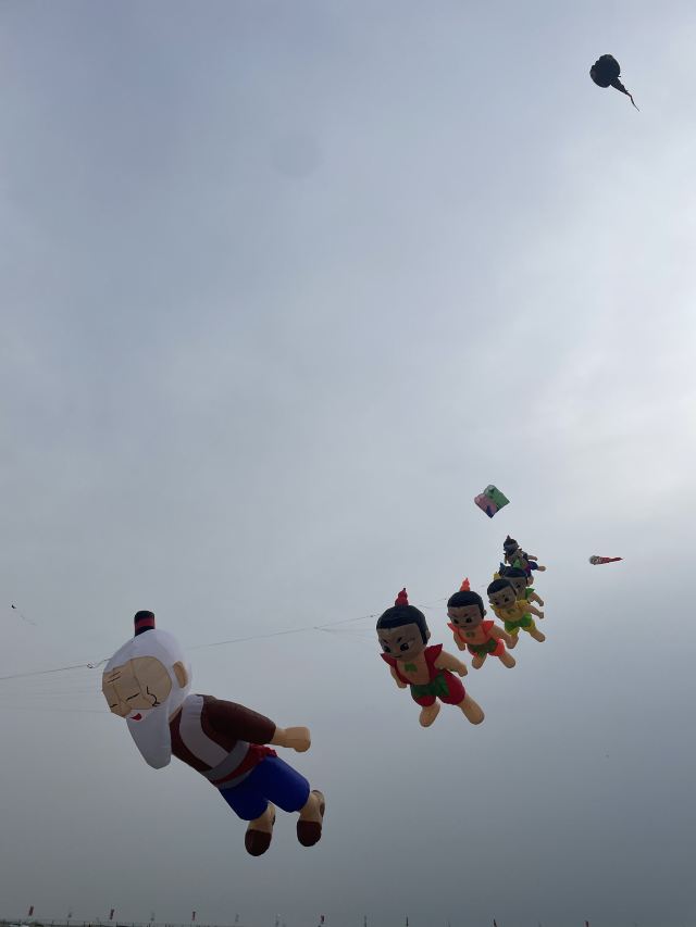 世界风筝公园旅行图片 3