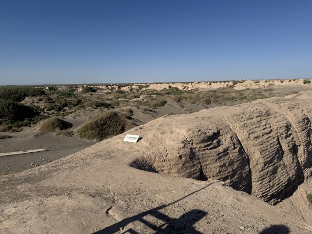 锁阳城遗址旅行图片 2