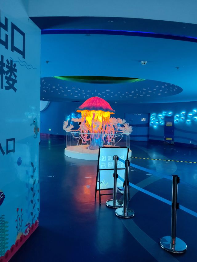 南昌融创文旅城旅行图片 1