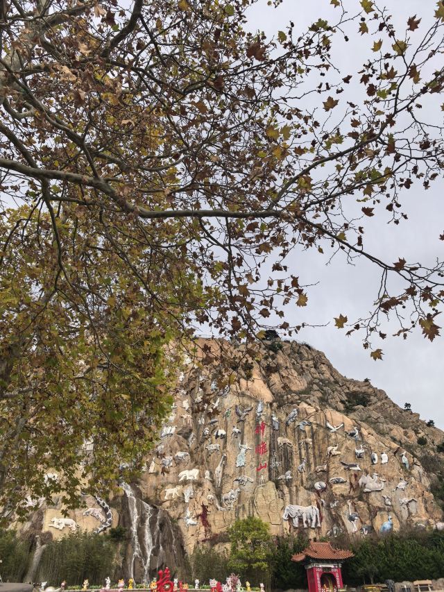 西霞口神雕山野生动物世界奇遇乐园旅行图片 3