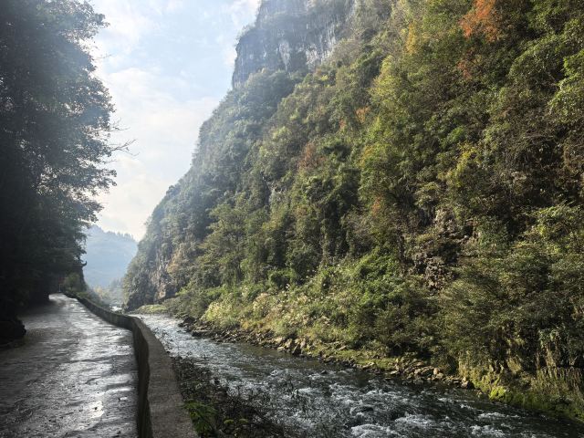 南江大峡谷景区旅行图片 1