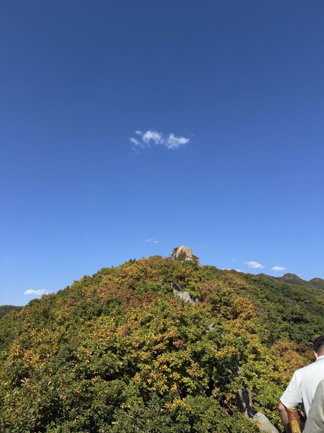 朱雀山国家森林公园旅行图片 2