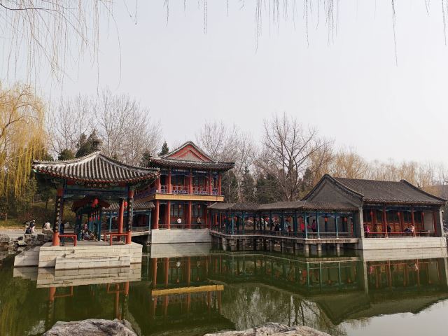 大观园旅行图片 3
