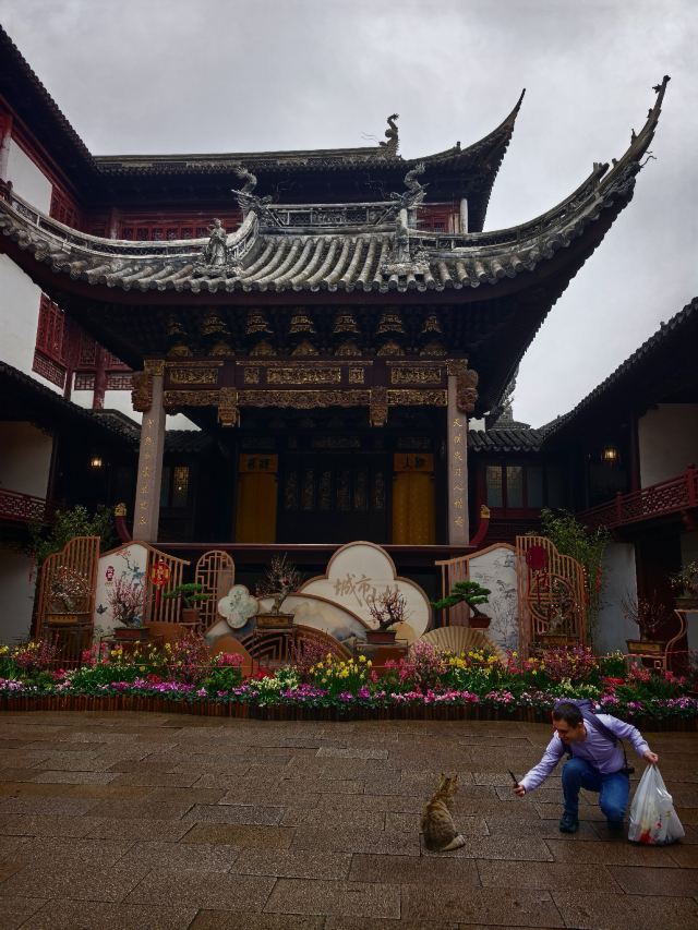 上海豫园旅行图片 2