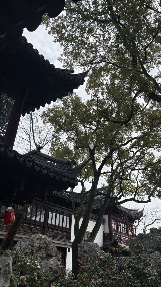 上海豫园旅行图片 2