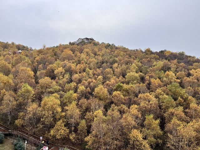 林胡古塞旅行图片 3
