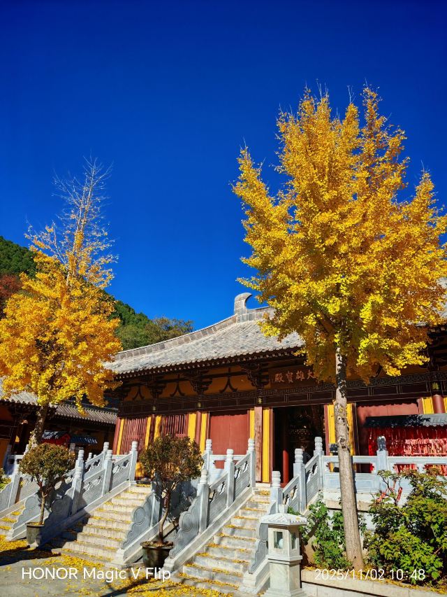 四门塔旅行图片 3