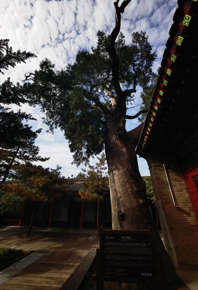 药王山旅行图片 6