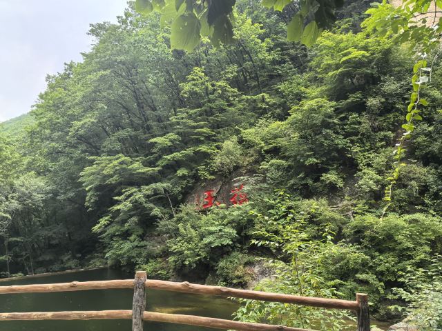大冰沟国家地质森林公园旅行图片 6