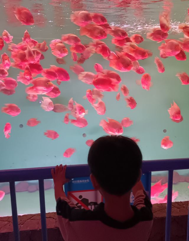 福州欧乐堡海洋世界旅行图片 2