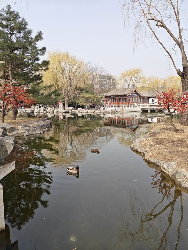 大观园旅行图片 8