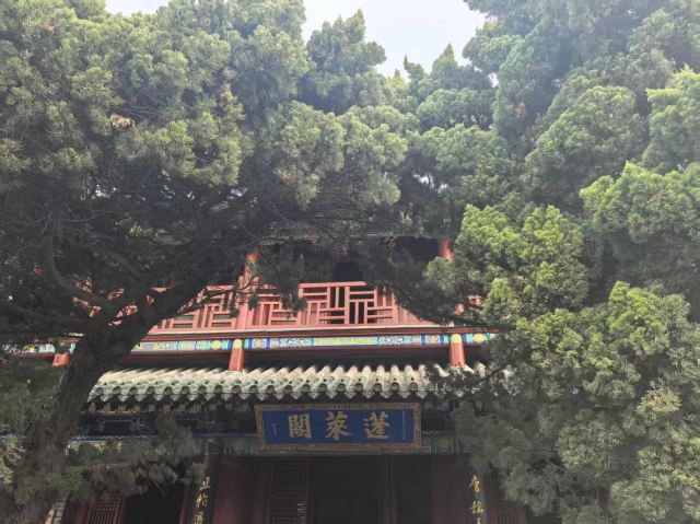 蓬莱水城旅行图片 1