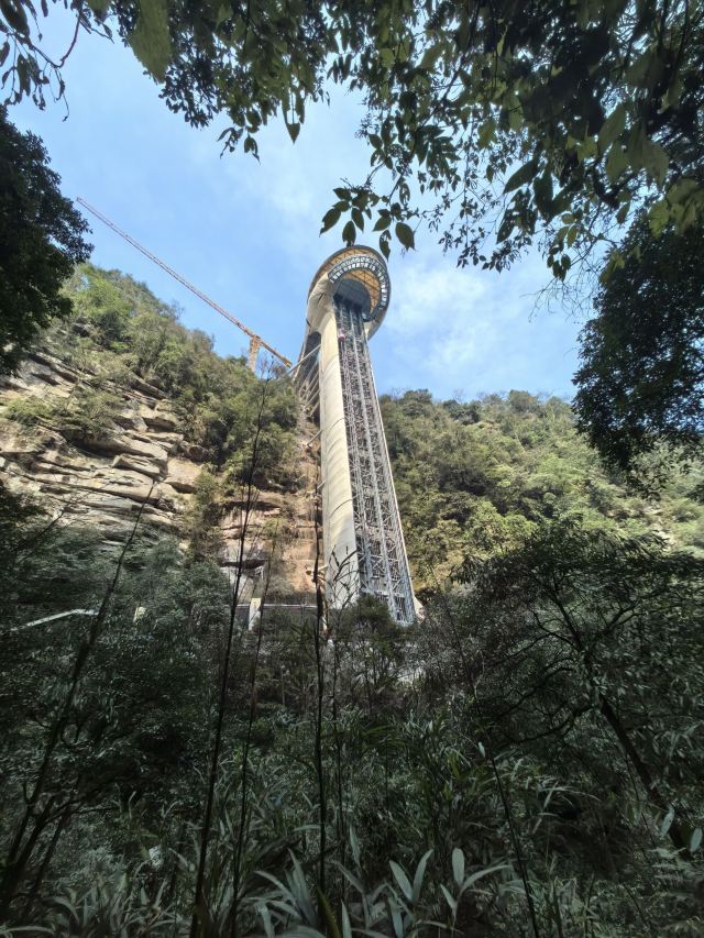碧峰峡风景区旅行图片 1