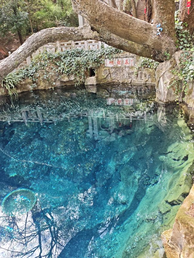 蝴蝶泉旅行图片 1