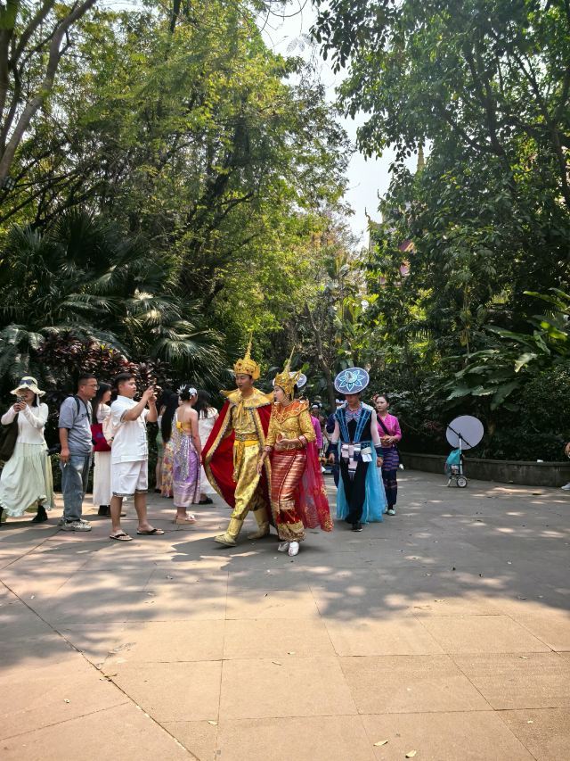 曼听御花园景区旅行图片 6