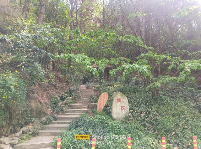 贵阳药用植物园旅行图片 5