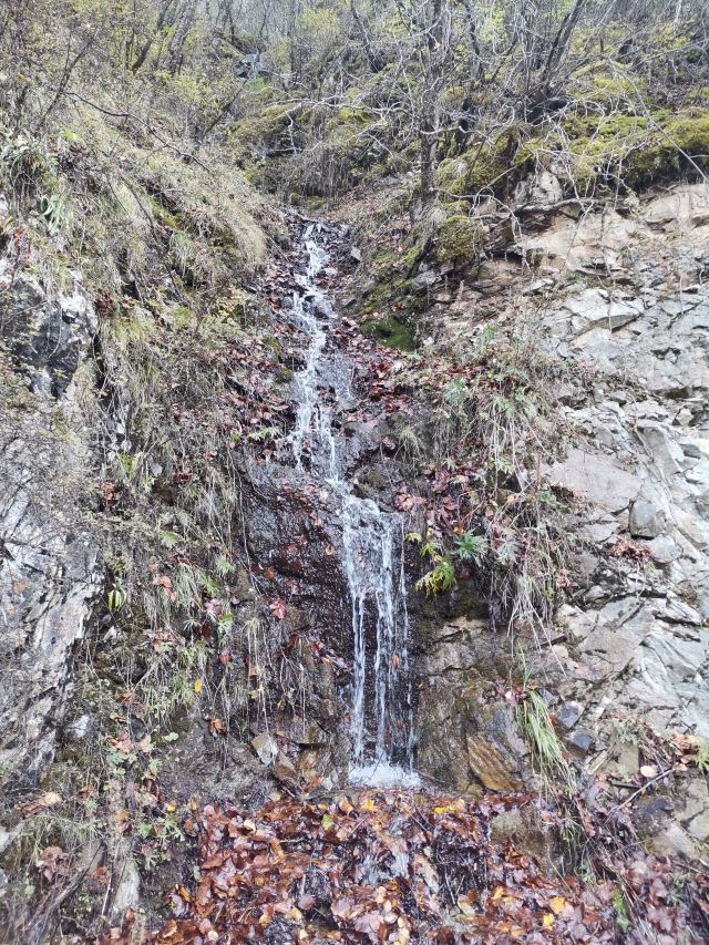 青海互助北山国家森林地质公园浪士当中心景区(暂停开放)旅行图片 4
