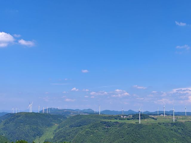 龙里油画大草原旅行图片 6