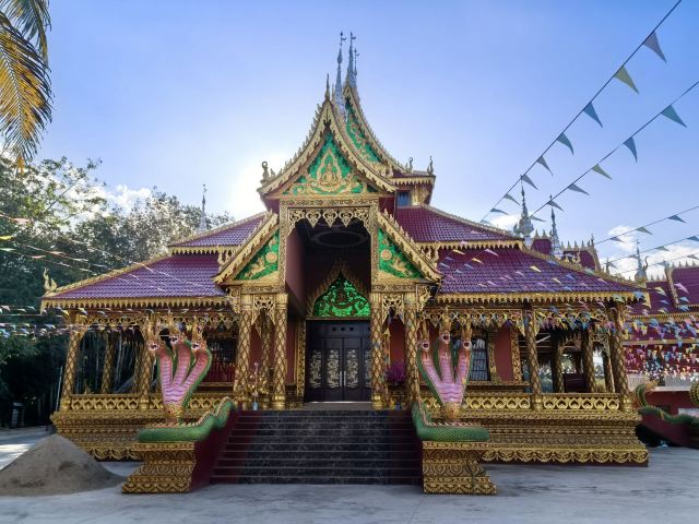 西双版纳独树成林景区旅行图片 3