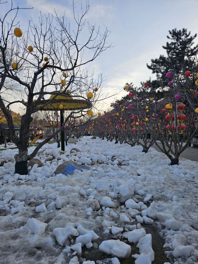 龙庆峡风景区旅行图片 2