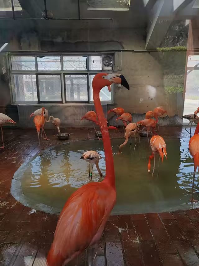 太原动物园旅行图片 4