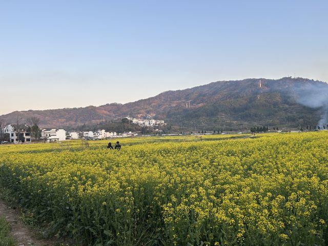 呈坎五福桥旅行图片 2