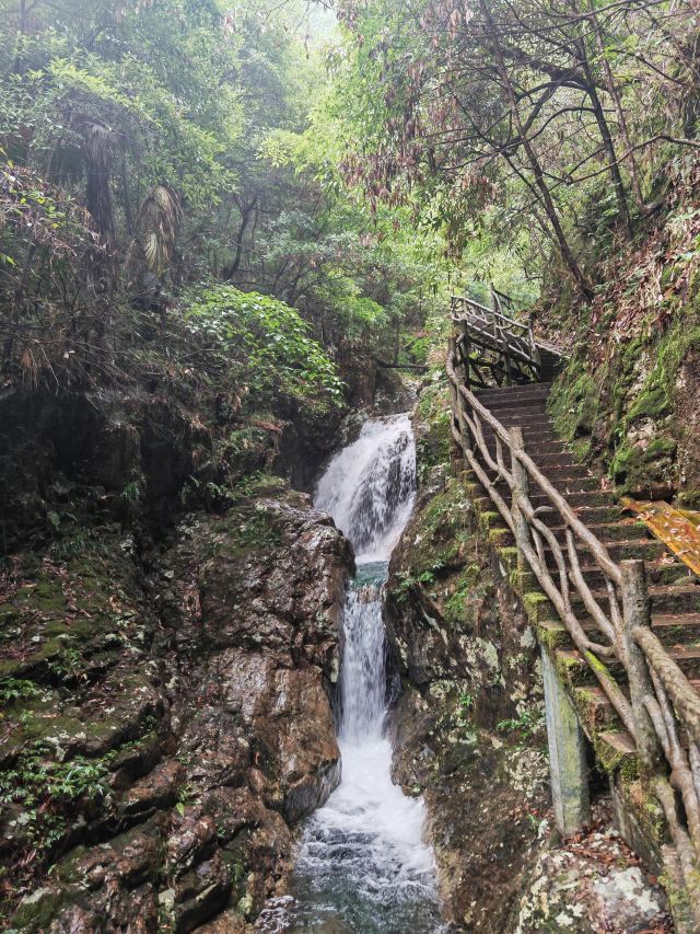 箬寮原始森林旅行图片 7