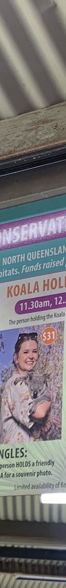 库兰达考拉花园-库兰达-羊小V