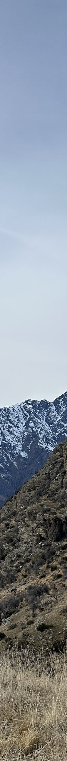 鹿苑高原-皇后镇-YoYo_8D9M3P0Q