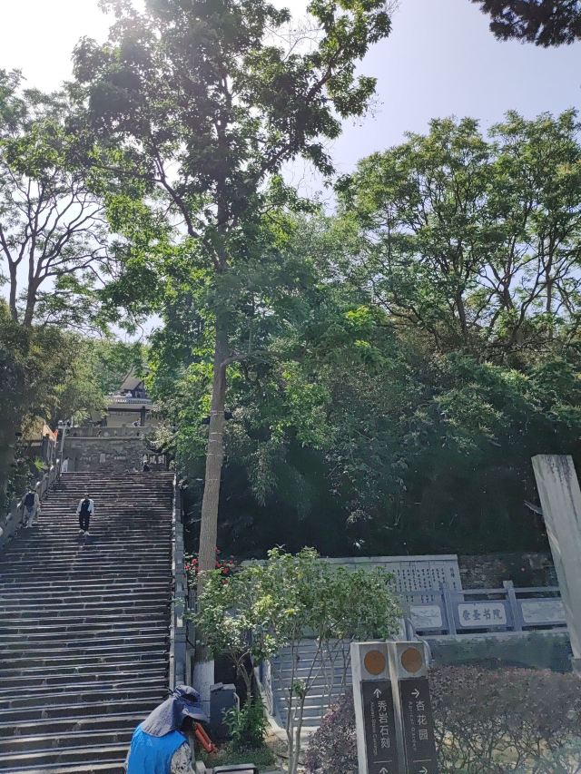 第一山景区旅行图片 2