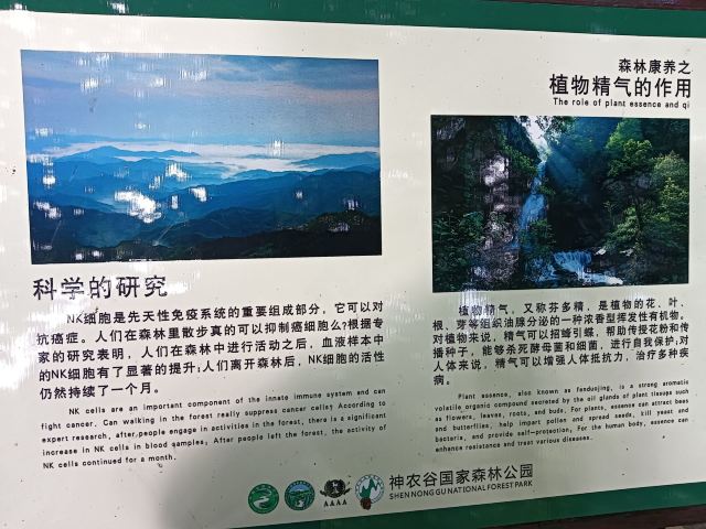 炎陵县神农谷国家森林公园旅行图片 1